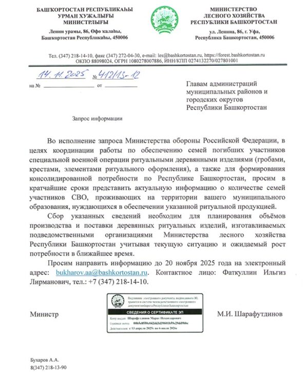 «Лесные гробы: Башкирия ждёт новых потерь»