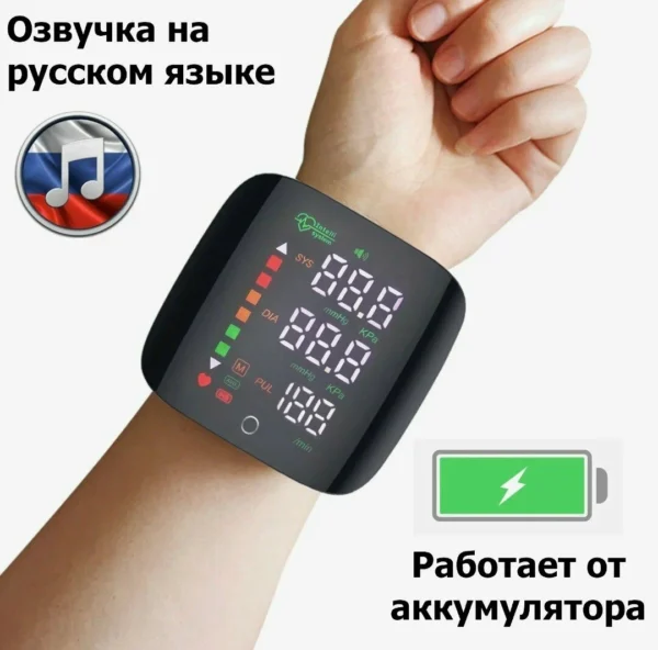 В Абхазии по просьбе России планируют ввести электронные браслеты для части населения