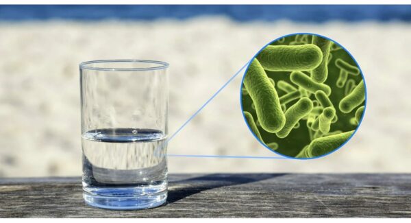 В Омской области выявили опасные бактерии в воде: жителям рекомендовали не пить воду из-под крана