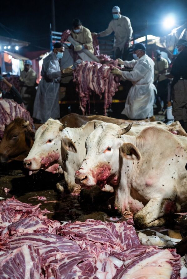 «Зараженка» для пушечного мяса