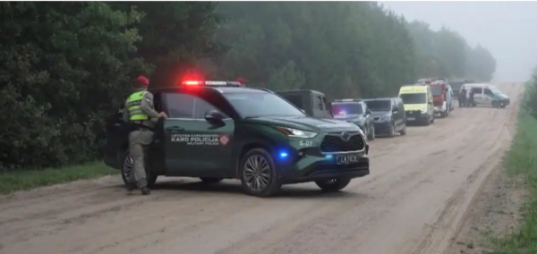 В Литву залетел украинский дрон через Польшу, подтвердил премьер